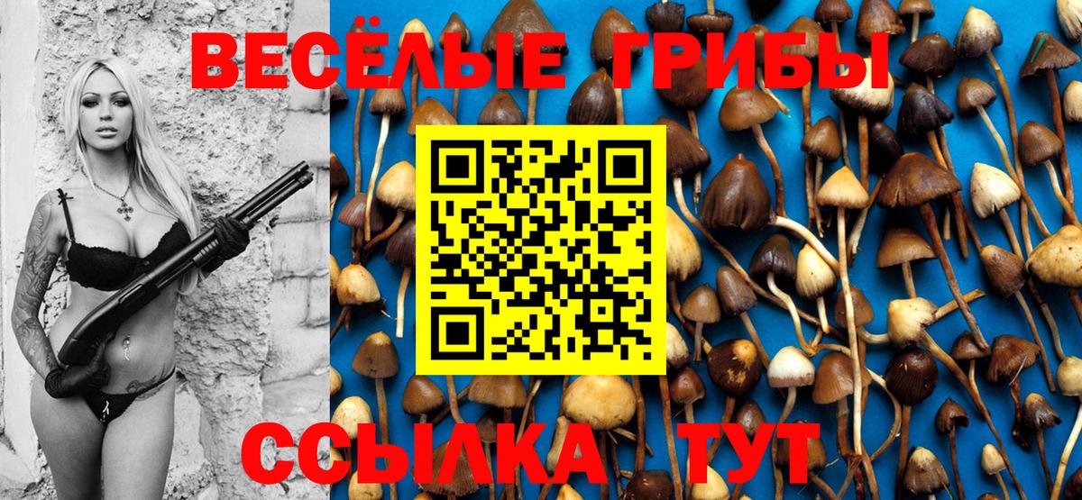 Псилоцибиновые грибы прущие грибы  Вход с VPN  Павлово 