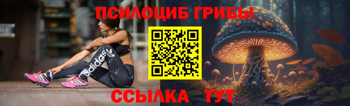 Псилоцибиновые грибы MAGIC MUSHROOMS Павлово